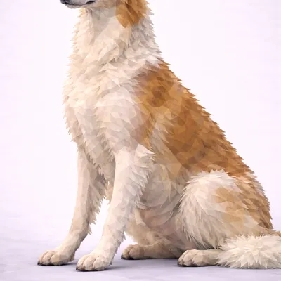 Borzoi Low Poly
