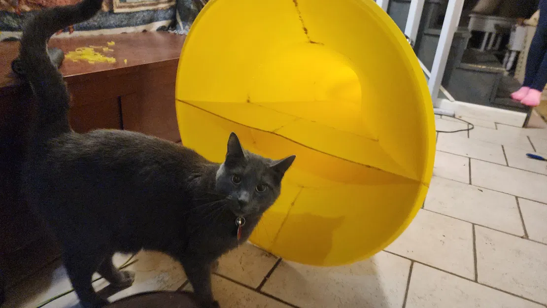 1/2 Scale ACA Hurricane MKII - Image 3