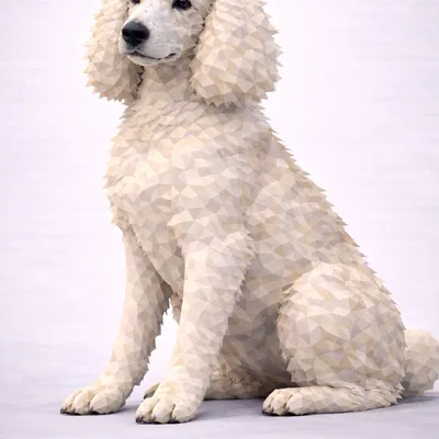 Poodle Low Poly