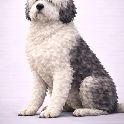 Chó Old English Sheepdog Low Poly
