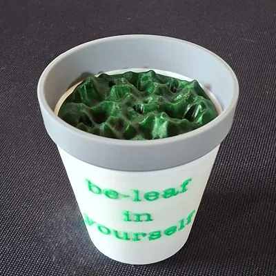 Chậu cây và phần lót giả