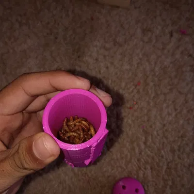 Giá đựng mealworm cho leopard gecko