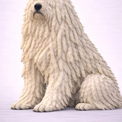 Chó Komondor Low Poly