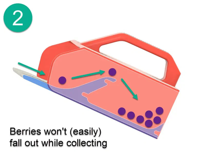 BerryPicker v2 - Phiên bản lớn hơn - Image 4