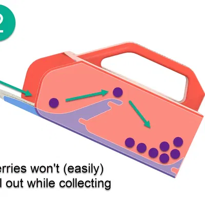 BerryPicker v2 - Phiên bản lớn hơn