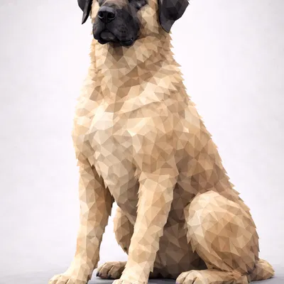 Chó Anatolian Low Poly