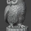 Cú Mèo (Owl) - Thumbnail 3