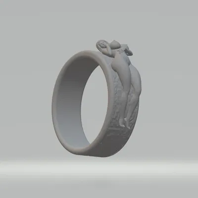 Wear me if you can - Nhẫn