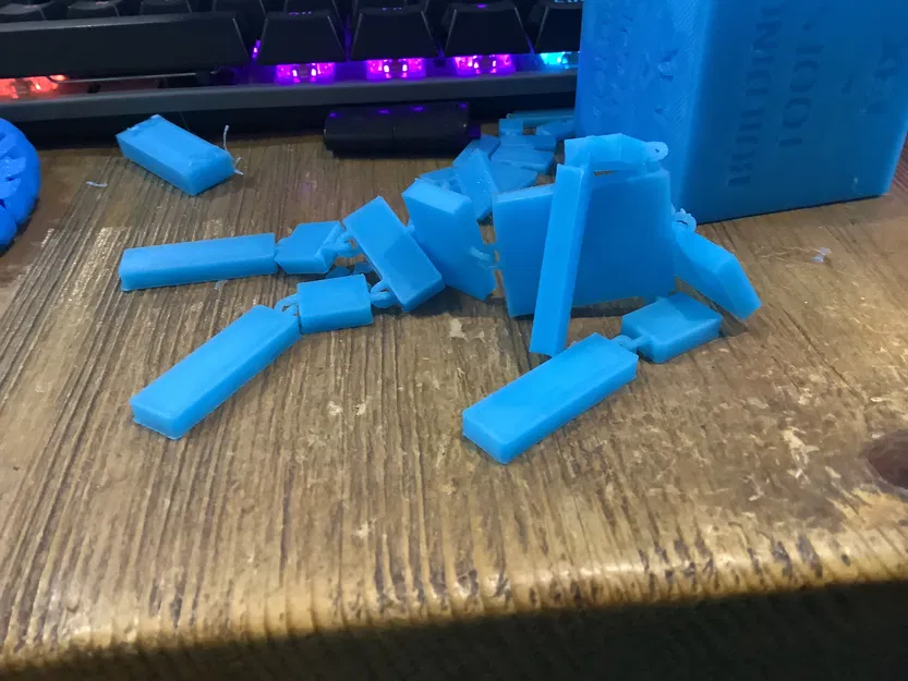 Ragdoll cơ bản (Tinkercad) - Image 2