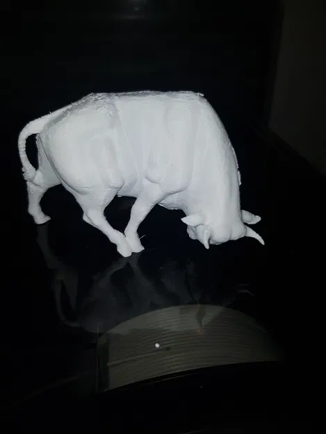 Brander Stier - Image 1