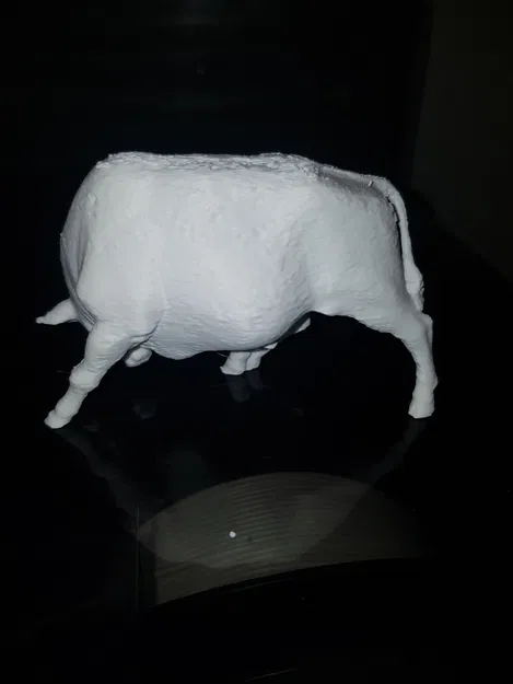 Brander Stier - Image 2