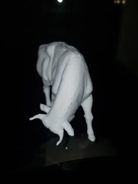 Brander Stier - Image 3