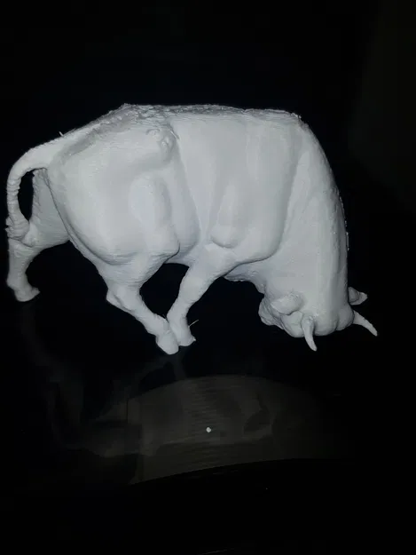 Brander Stier - Image 4