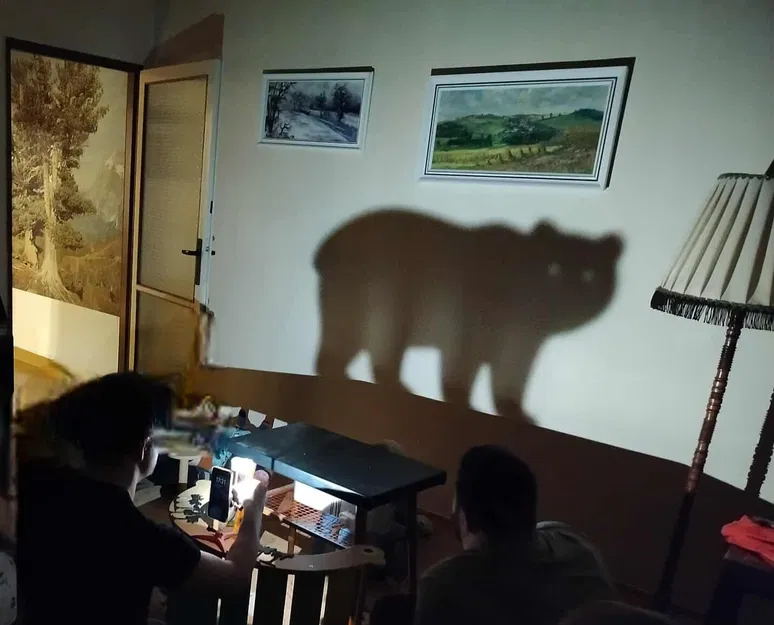 Động vật rối bóng (Shadow Play Animals) - Image 1