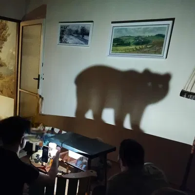 Động vật rối bóng (Shadow Play Animals)