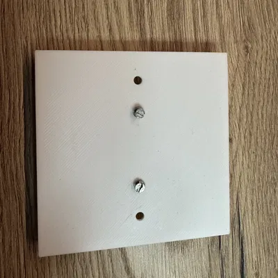 Nắp che ổ công tắc cho Moes/Tuya switches