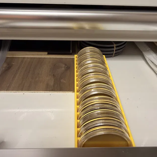 Khay tổ chức coin & capsule 40 mm trống (16 coin) - Image 3