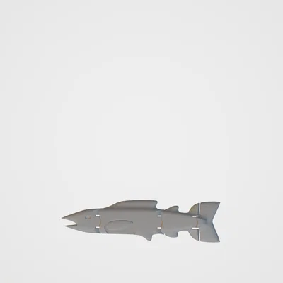 Flexi Fish?