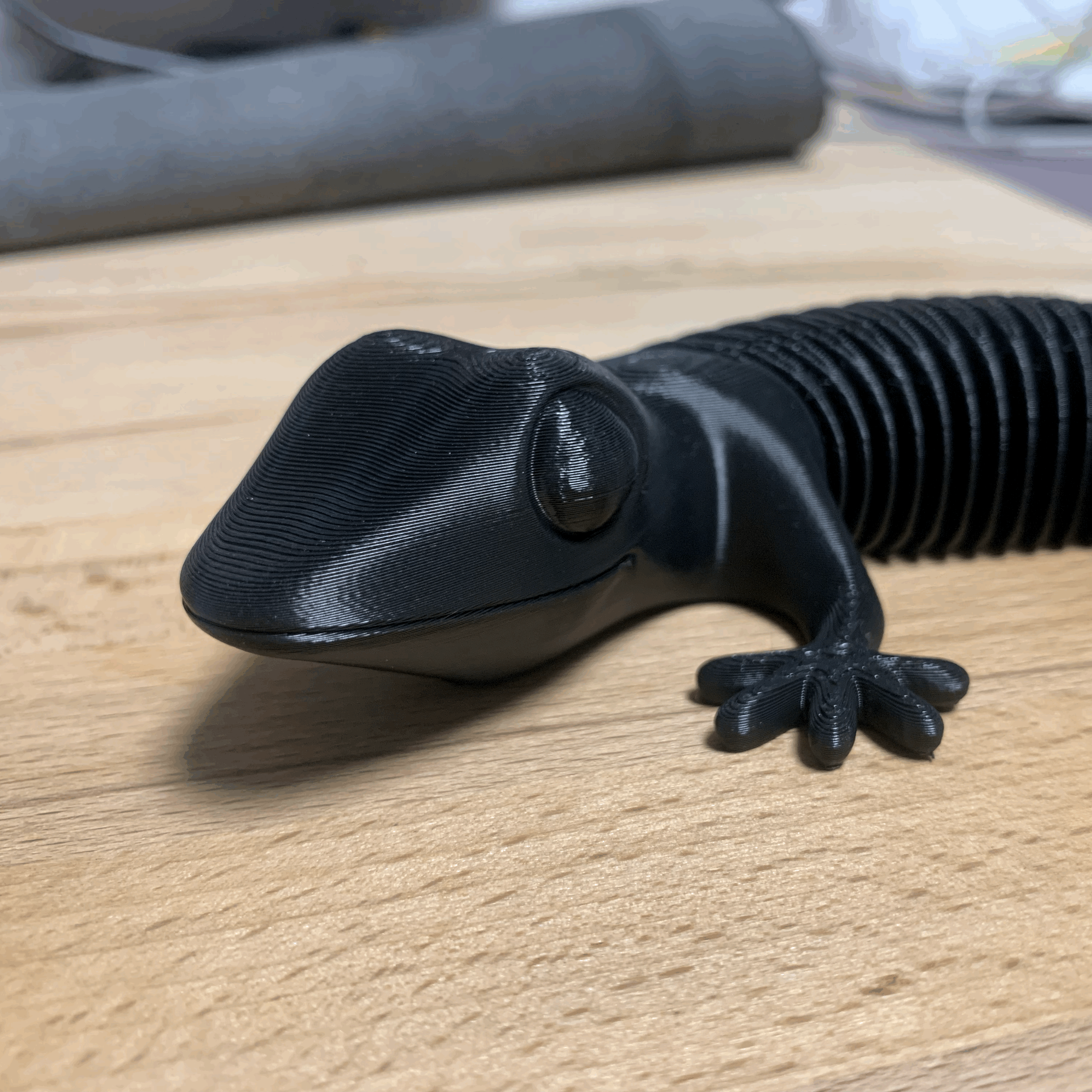 SebastianFis_1817658