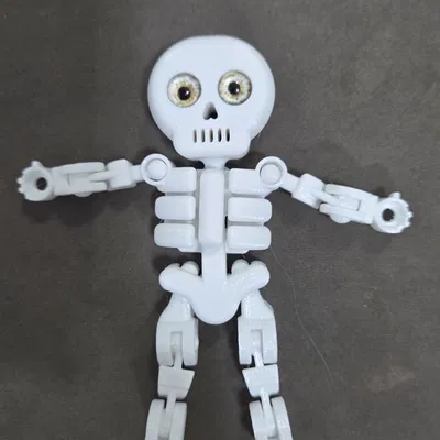 Đồ chơi bộ xương khớp nối (Articulated) tương thích mắt thủy tinh 8mm