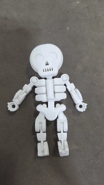 Đồ chơi bộ xương khớp nối (Articulated) tương thích mắt thủy tinh 8mm - Image 6