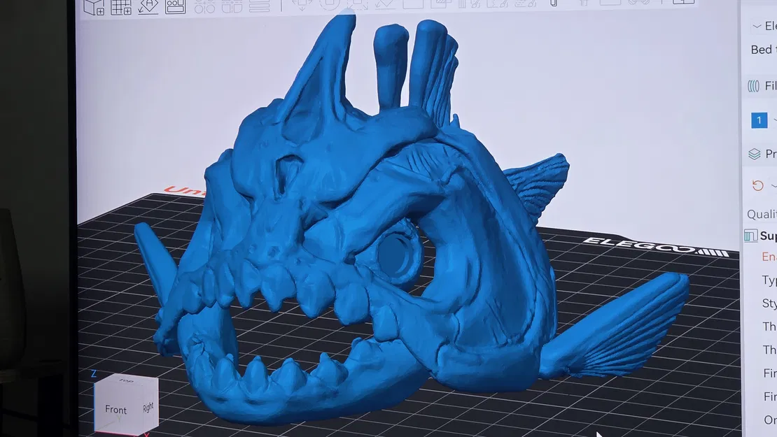 Bộ xương cá - Tương thích mắt kính 8mm - Image 1