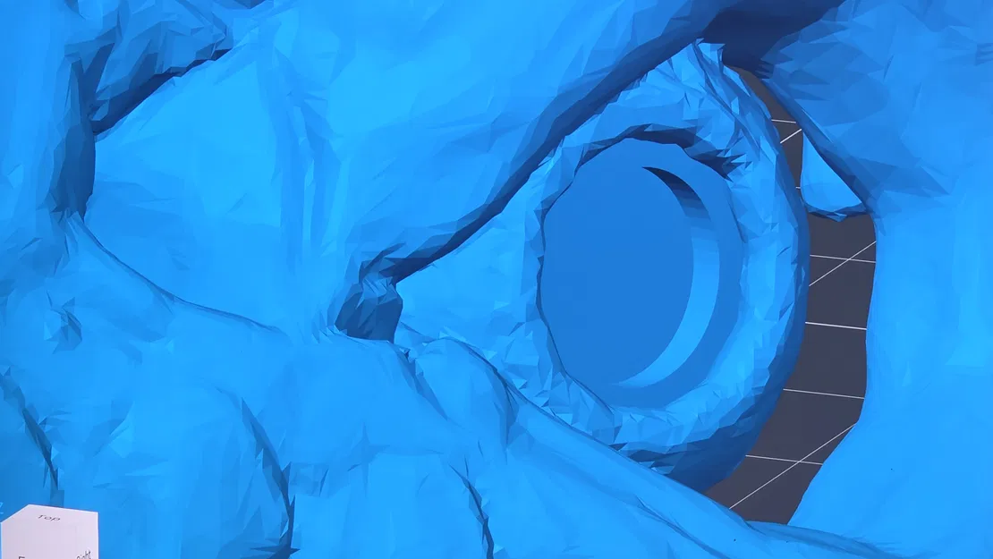 Bộ xương cá - Tương thích mắt kính 8mm - Image 2