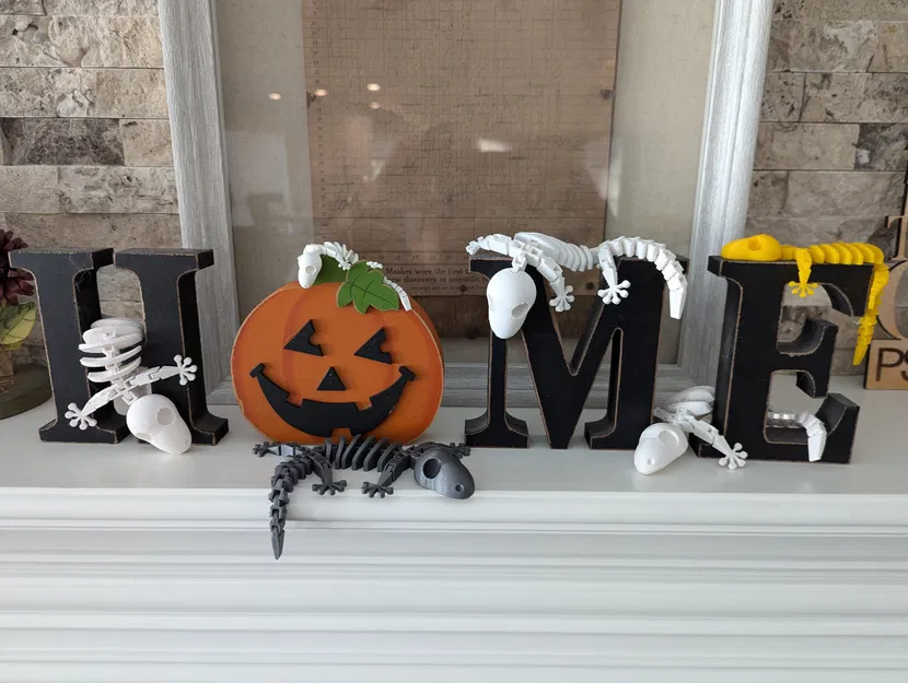 Bộ Xương Tắc Kè Flexi Khớp Nối (Articulated Flexi Gecko Skeleton) - Image 2