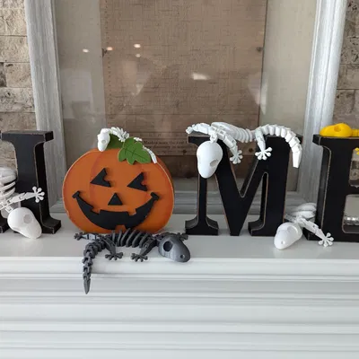 Bộ Xương Tắc Kè Flexi Khớp Nối (Articulated Flexi Gecko Skeleton)