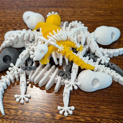 Bộ Xương Tắc Kè Flexi Khớp Nối (Articulated Flexi Gecko Skeleton)