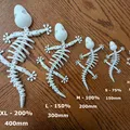 Bộ Xương Tắc Kè Flexi Khớp Nối (Articulated Flexi Gecko Skeleton) - Thumbnail 6