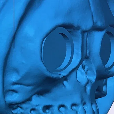 Mô hình Xương Vui Nhộn Mặc Hoodie - Tương thích mắt kính 8mm