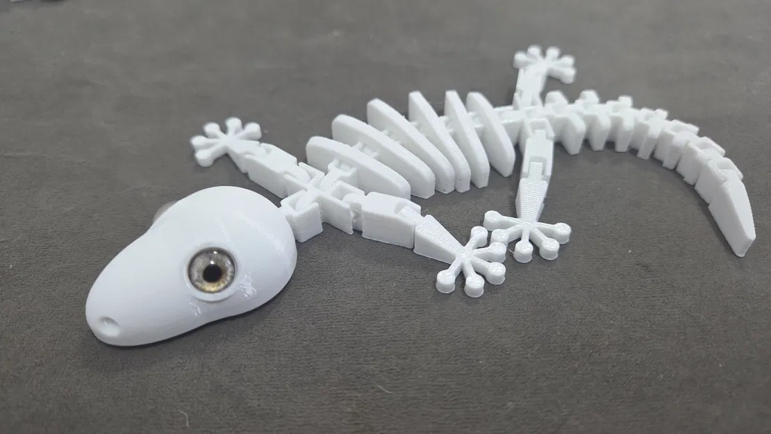 Bộ xương thằn lằn gecko Flexi - tương thích mắt kính 8mm - Image 2