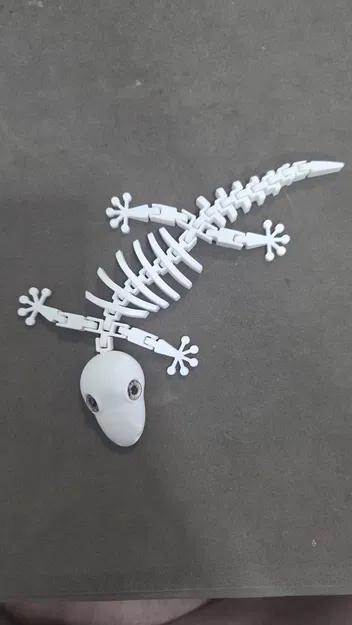 Bộ xương thằn lằn gecko Flexi - tương thích mắt kính 8mm - Image 3