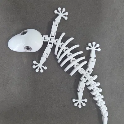 Bộ xương thằn lằn gecko Flexi - tương thích mắt kính 8mm