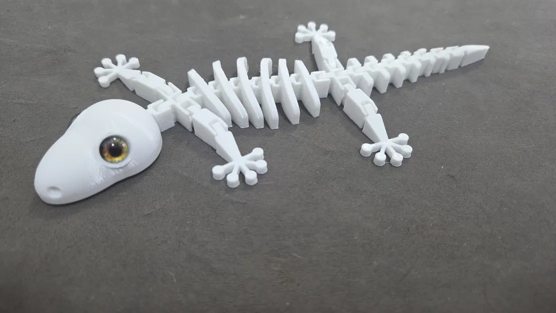 Bộ xương thằn lằn gecko Flexi - tương thích mắt kính 8mm - Image 6