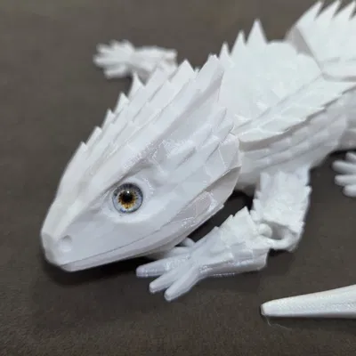 Red-Eyed Crocodile Skink – Tương thích mắt kính 6mm