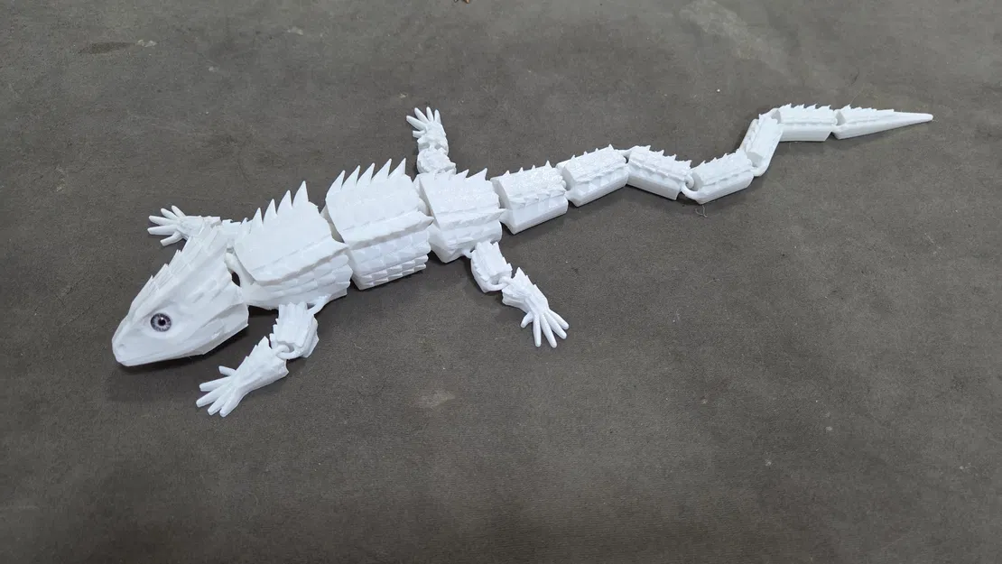 Red-Eyed Crocodile Skink – Tương thích mắt kính 6mm - Image 4