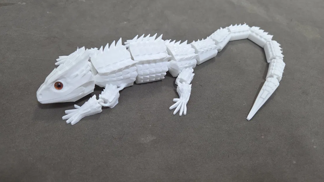 Red-Eyed Crocodile Skink – Tương thích mắt kính 6mm - Image 6