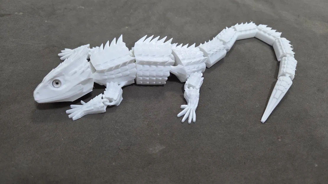 Red-Eyed Crocodile Skink – Tương thích mắt kính 6mm - Image 7