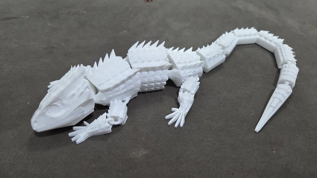 Red-Eyed Crocodile Skink – Tương thích mắt kính 6mm - Image 8