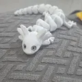 Axolotl Khớp Nối – Tương thích mắt thủy tinh 6mm - Thumbnail 1