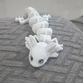 Axolotl Khớp Nối – Tương thích mắt thủy tinh 6mm - Thumbnail 2