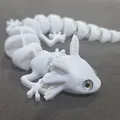 Axolotl Khớp Nối – Tương thích mắt thủy tinh 6mm - Thumbnail 3