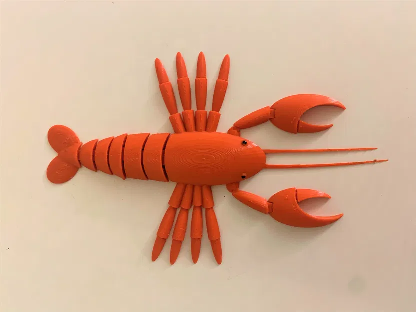 Tôm Hùm Khớp Nối (Articulated Lobster) Print-in-Place - Image 8