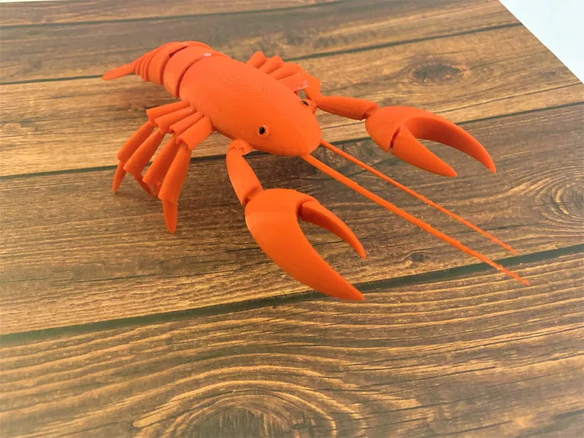 Tôm Hùm Khớp Nối (Articulated Lobster) Print-in-Place - Image 9