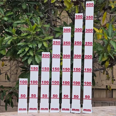 Thước Ruler for Scale (dựng đứng/đặt ngang) cho ảnh mẫu in 3D