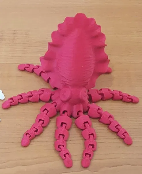 Mực Nang Khớp Nối (Articulated Cuttlefish) - Image 1