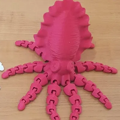 Mực Nang Khớp Nối (Articulated Cuttlefish)