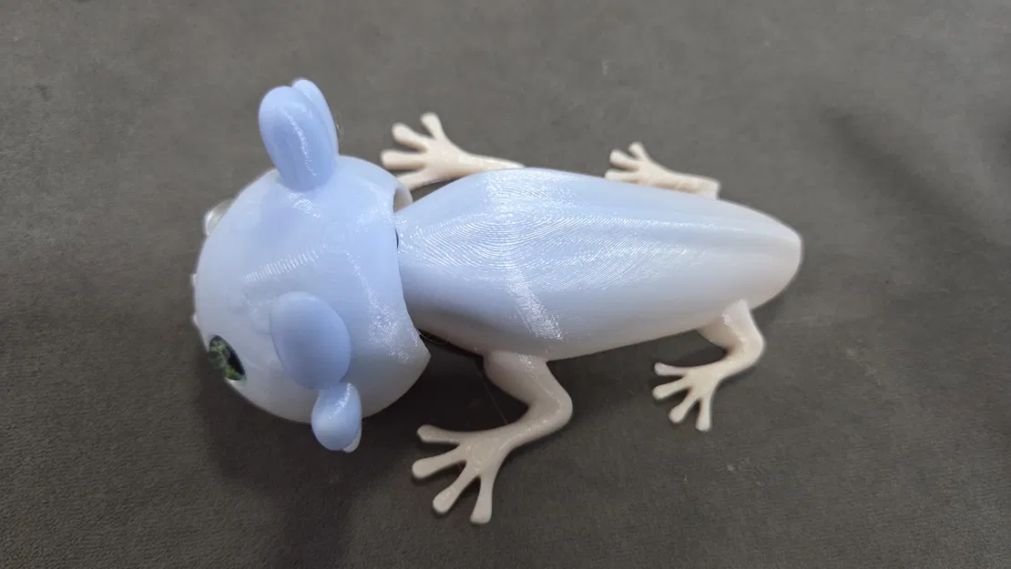 Axolotl đầu khớp (Articulated) – tương thích mắt kính 6mm + 8mm - Image 7